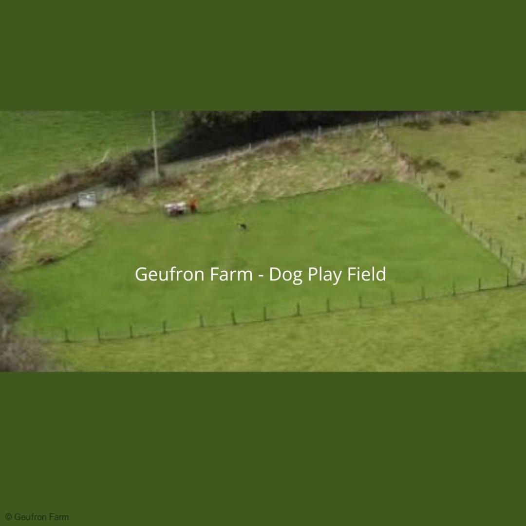 Farmhouse & Cottage At Geufron Farm - Dog Friendly Bryn-crug Dış mekan fotoğraf